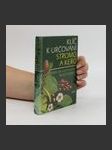 Klíč k určování stromů a keřů - náhled