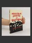 Molecular Genetics of Bacteria - náhled
