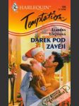 Dárek pod závějí - náhled