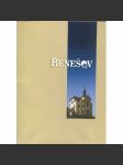 Benešov - náhled