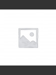 Antisemitism in Slovak Publications /2010-2012/ - náhled