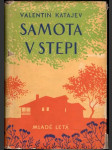 Samota v stepi - náhled