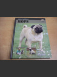 Mops - náhled