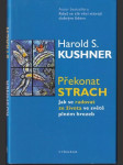 Překonat strach - náhled