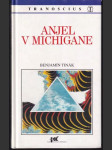Anjel v Michigane - náhled