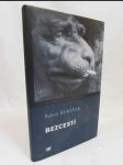 Bezcestí - náhled
