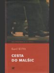 Cesta do Malšic - náhled