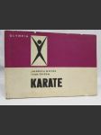 Karate - náhled