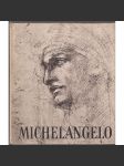 Michelangelo (edice: Staletí tvarů, kniha 2) [sochař, malíř, stavitel, básník] - náhled