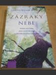 Zázraky z nebe - náhled