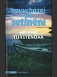 Nevycházej po setmění - náhled