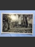 Gräfenberk - fotopohlednice - náhled