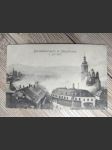 Brandkatastrophe in Neunkirchen. 1. Juli 1907. - náhled