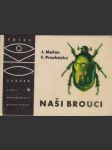 Naši brouci - náhled