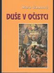 Duše v očistci - Co jsem s nimi prožila - náhled
