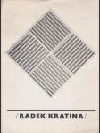 Radek Kratina - náhled