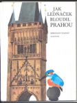 Jak ledňáček bloudil prahou ivanov miroslav - náhled