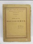 Socialismus - náhled