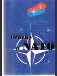 Otázky o nato - náhled