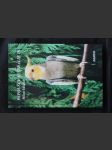 Papoušci Austrálie. 2 Cyclopsitta, Geoffroyus, Eclectus, Alisterus, Aprosmictus, Polytelis, Purpureicephalus, Barnardius, Lathamus, Pezoporus, Geopsittacus, Melopsittacus a Nymphicus - náhled