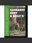 Zahradní krby a grily II - náhled
