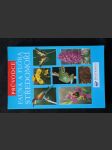 Fauna a flóra Středomoří - náhled