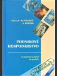 Podnikové hospodárstvo - Komplexný pohľad na podnik - náhled