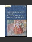 Schwarzenbergové v české a středoevropské kulturní historii [Schwarzenberg, šlechta, šlechtický rod, aristokracie] - náhled