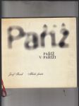 Paříž v Paříži - náhled