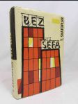 Bez šéfa - náhled