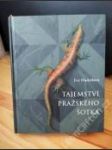 Tajemství pražského šotka - náhled