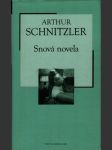 Snová novela - náhled