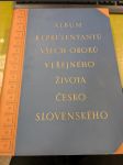 Album representantů všech oborů veřejného života česko-slovenského - náhled