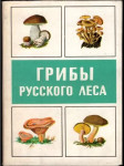 Грибы русского леса - karty (malý formát) - náhled
