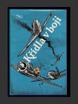 Křídla v boji - náhled