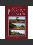 Ježíšovy cesty VII. díl - náhled
