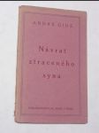 Návrat ztraceného syna - náhled