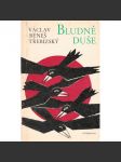 Bludné duše - náhled