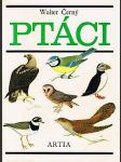 Ptáci - náhled