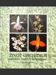 Život orchidejí - sbírkou exotů s botanikem - náhled