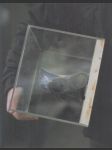 Lukáš Rittstein - náhled