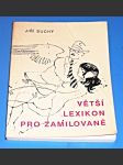 Větší lexikon pro zamilované - náhled