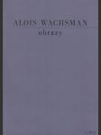 Alois Wachsman - Obrazy - náhled