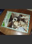 Věda a technika mládeži 24/1985 - náhled
