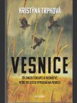 Vesnice - náhled