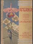 Amerika - náhled