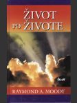 Život po živote (2010) - náhled