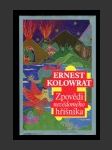 Zpovědi nevědomého hříšníka - náhled