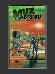 Muž v labyrintu - náhled