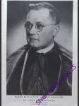 Nekrvavý mučedník - matocha josef karel - náhled